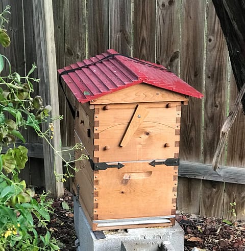 Flow Frame Bee Hive