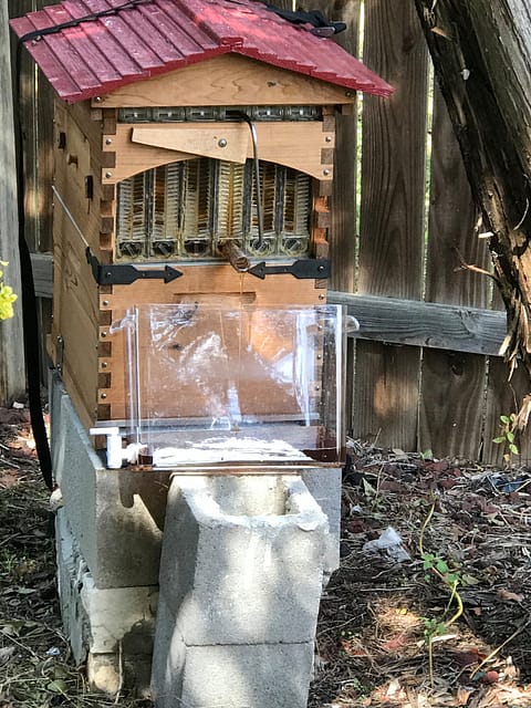 Flow Hive Harvest